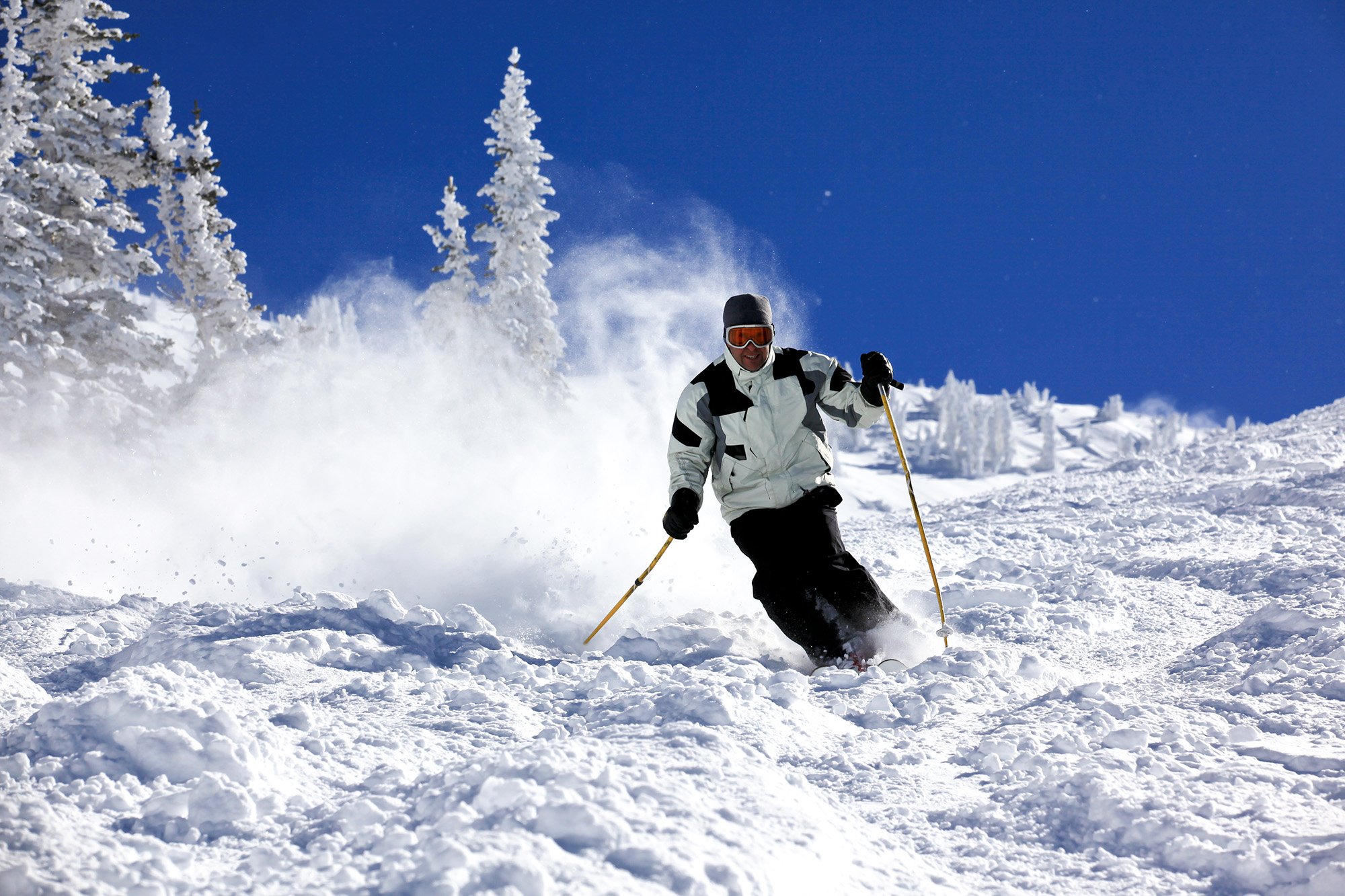Skiier