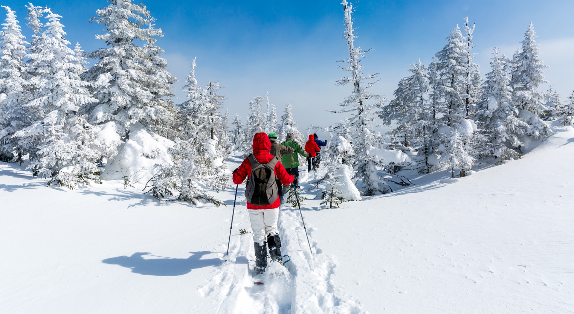 Snowshoeing Snowshoe Trails Alta, Utah Snowpine Lodge