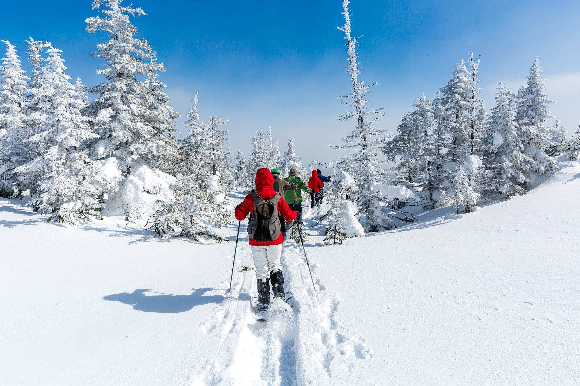 Snowpine Lodge | Alta Ski Resort, Utah