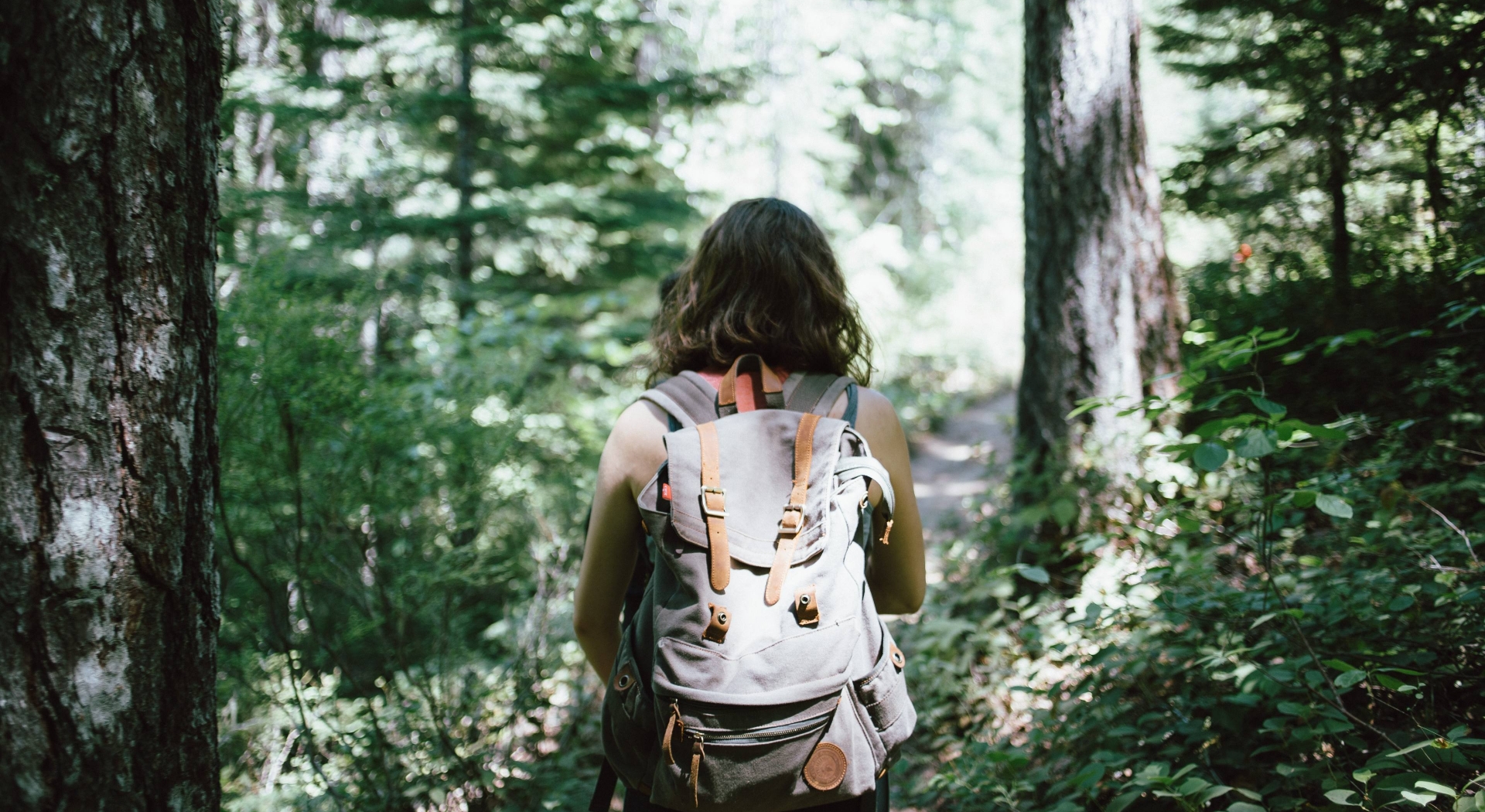 Two individuals hiking in the woods
