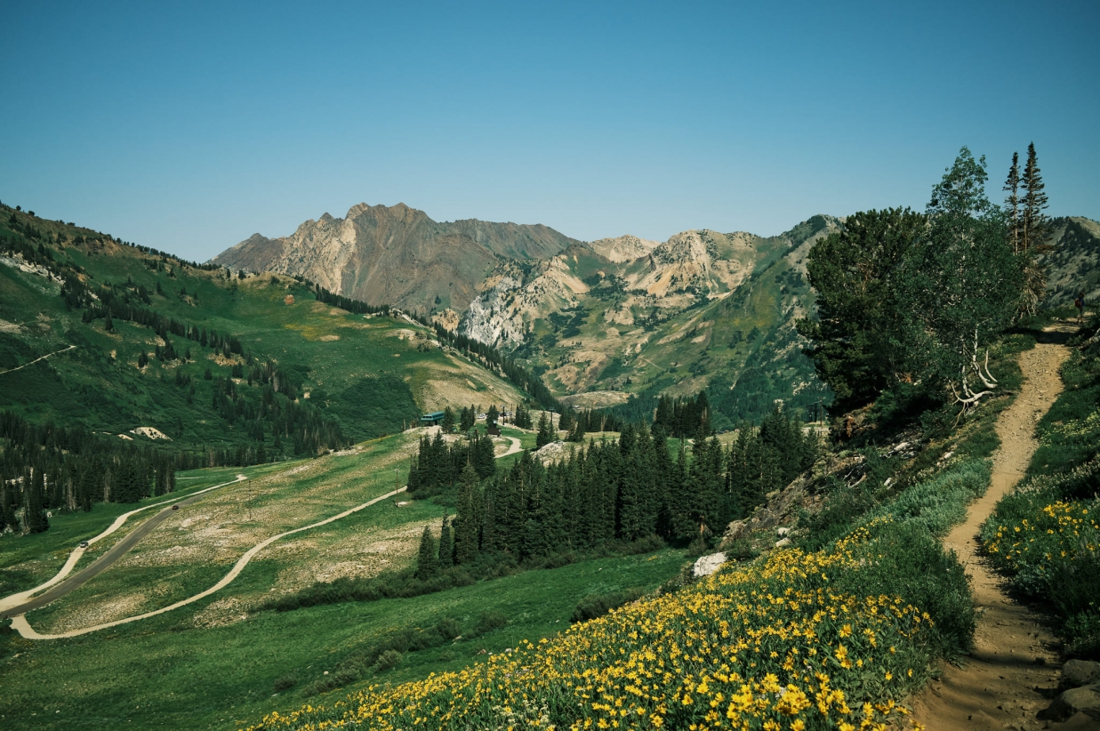 Green valley with various trails
