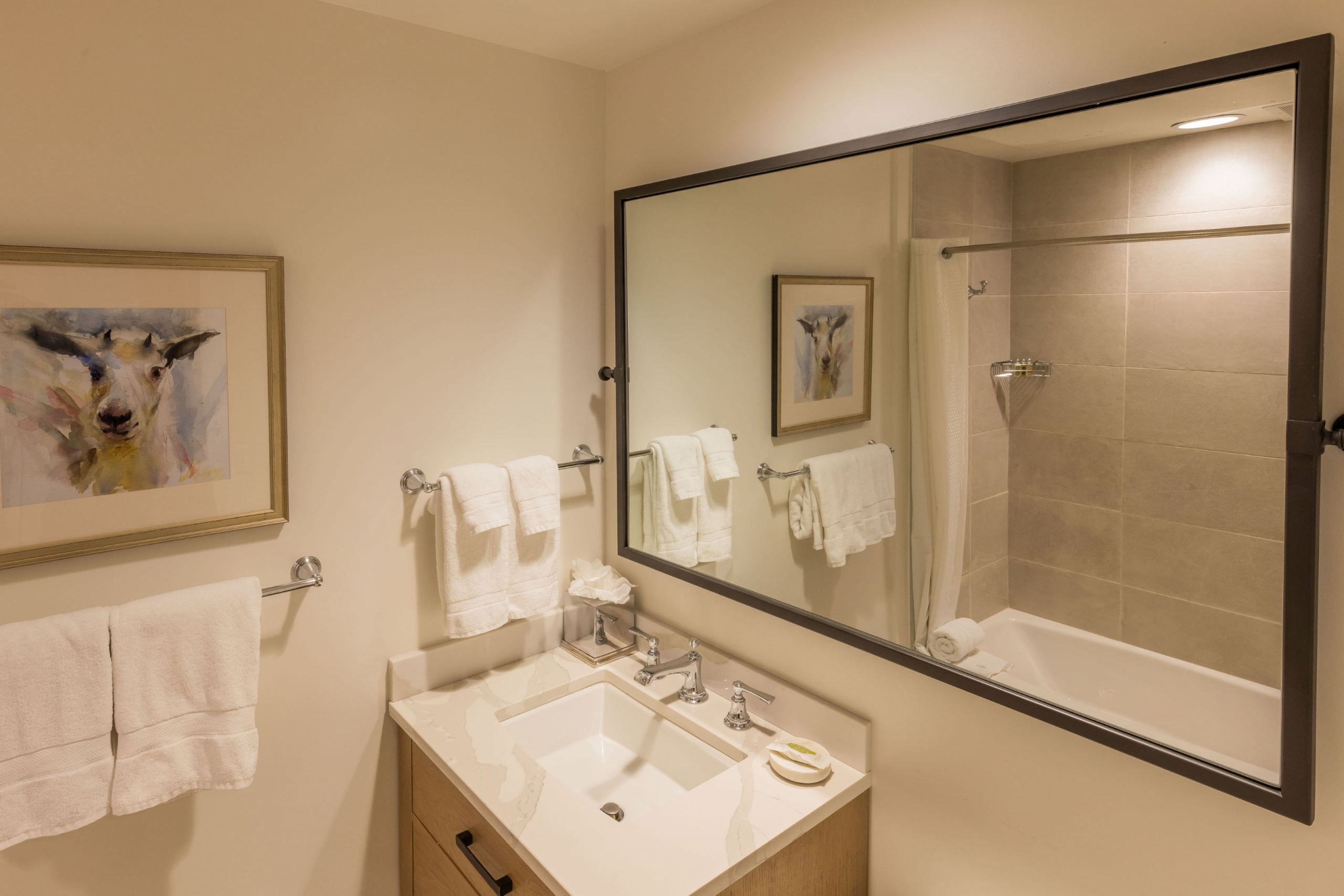 Lift View Bunk Room 1