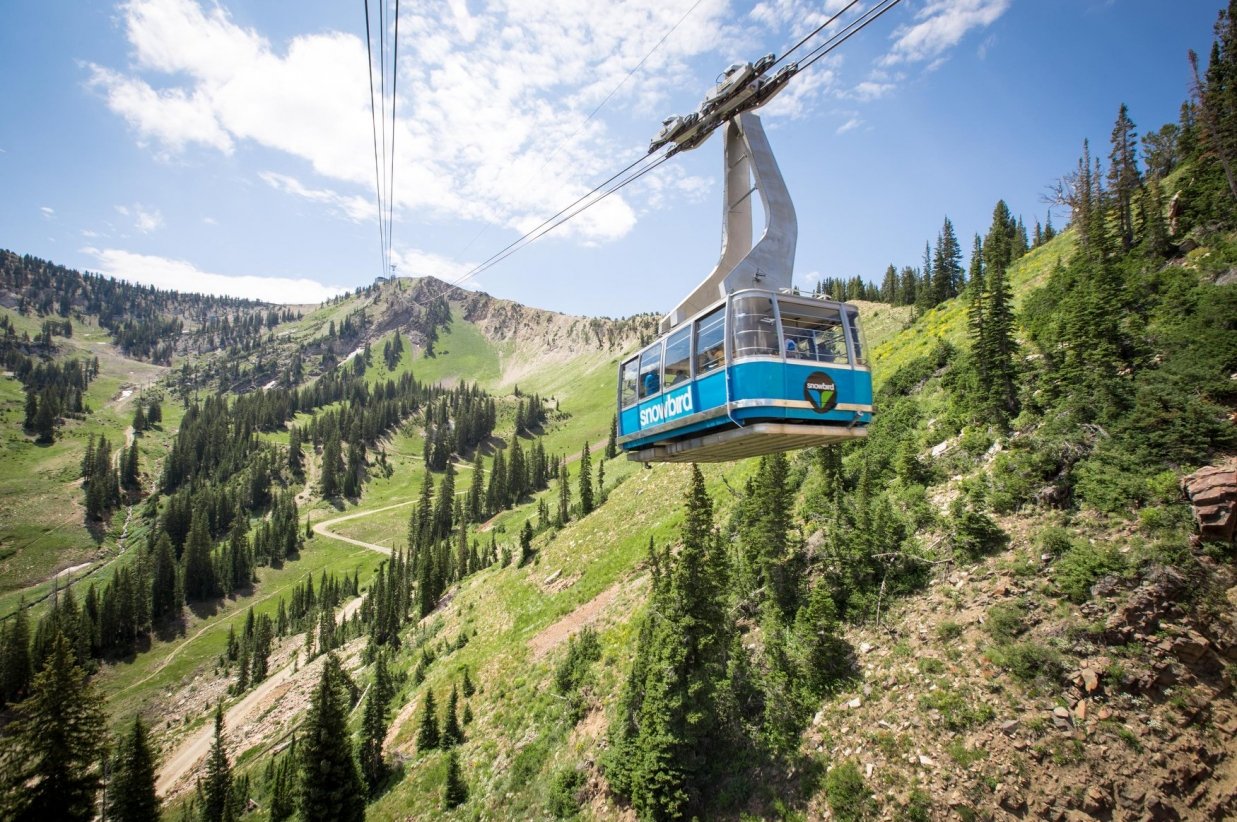 Snowbird Resort 3