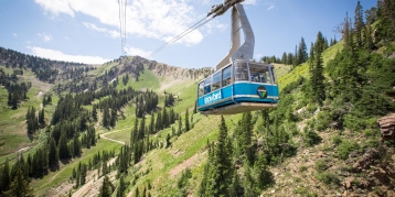 Snowbird Resort 3