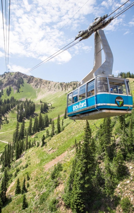 Snowbird Resort 3