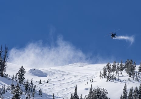 Powderbird Heli-Ski