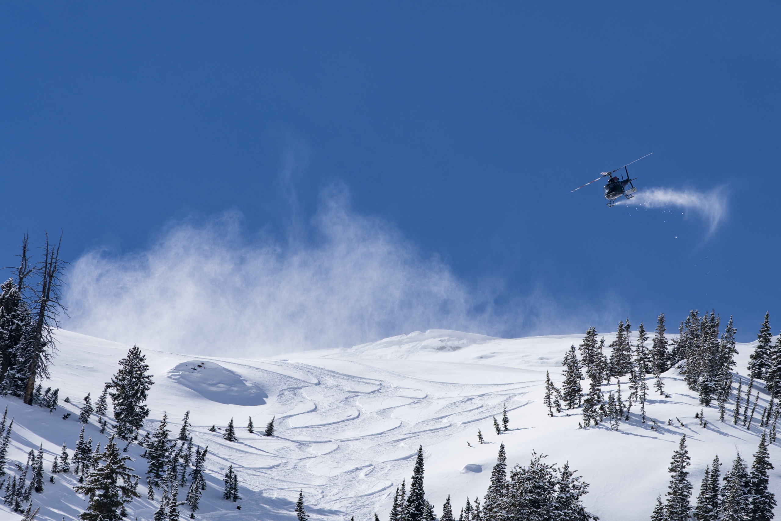 Powderbird Heli-Ski