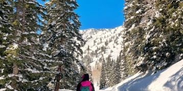 Your Spring Mountain Escape