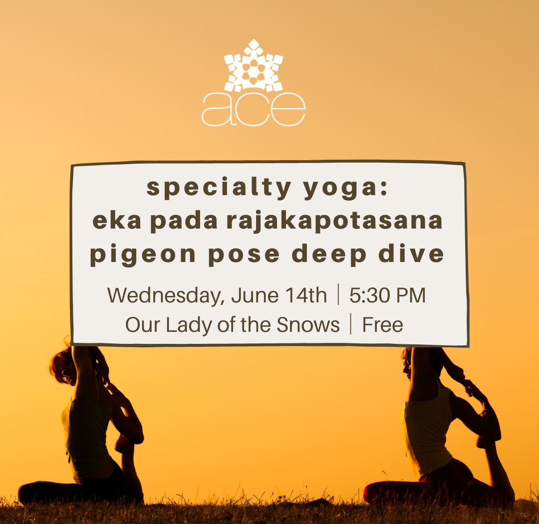 ACE Specialty Yoga Pigeon Pose Deep Dive