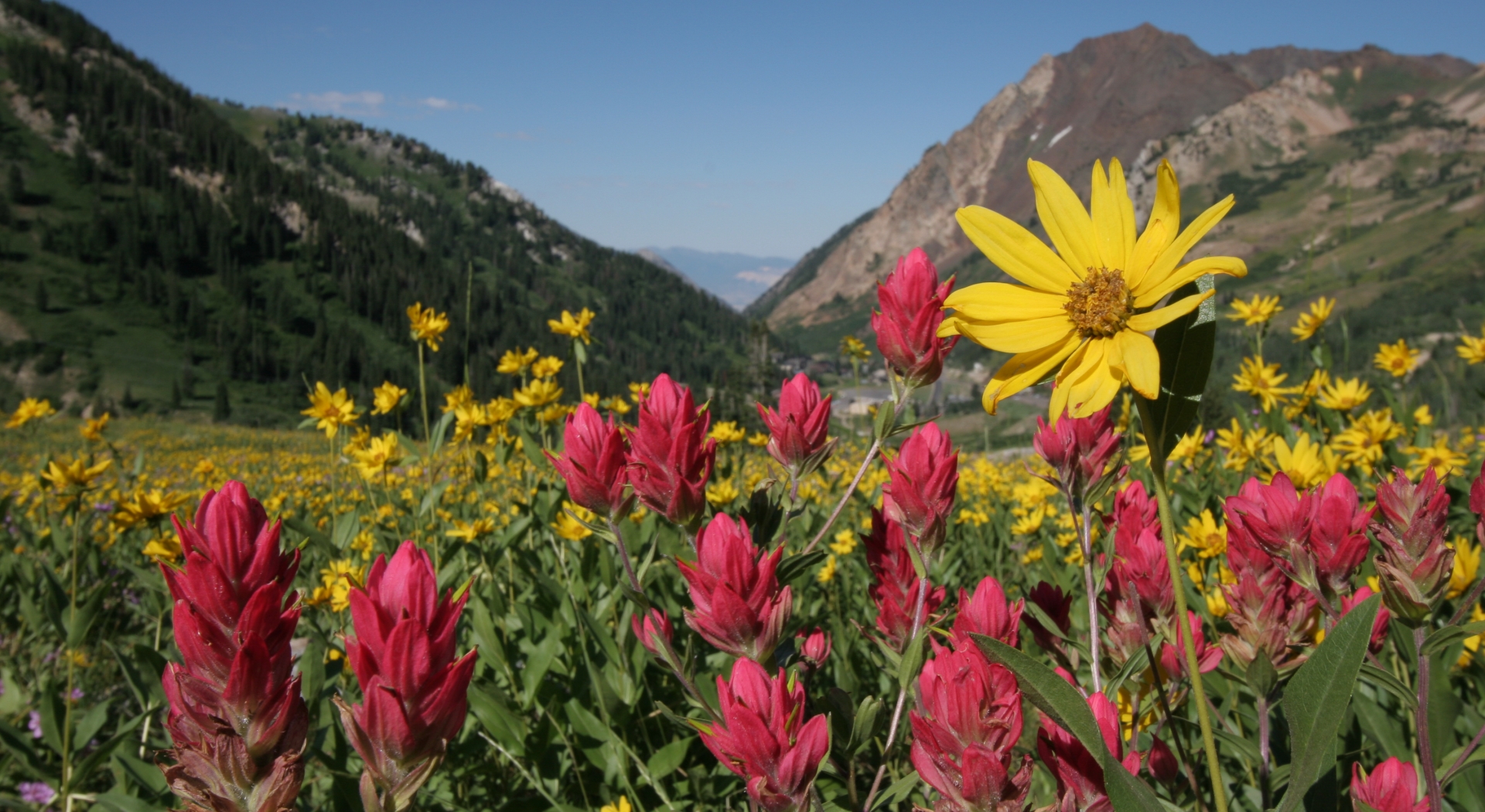 Exploring Alta from Snowpine Lodge