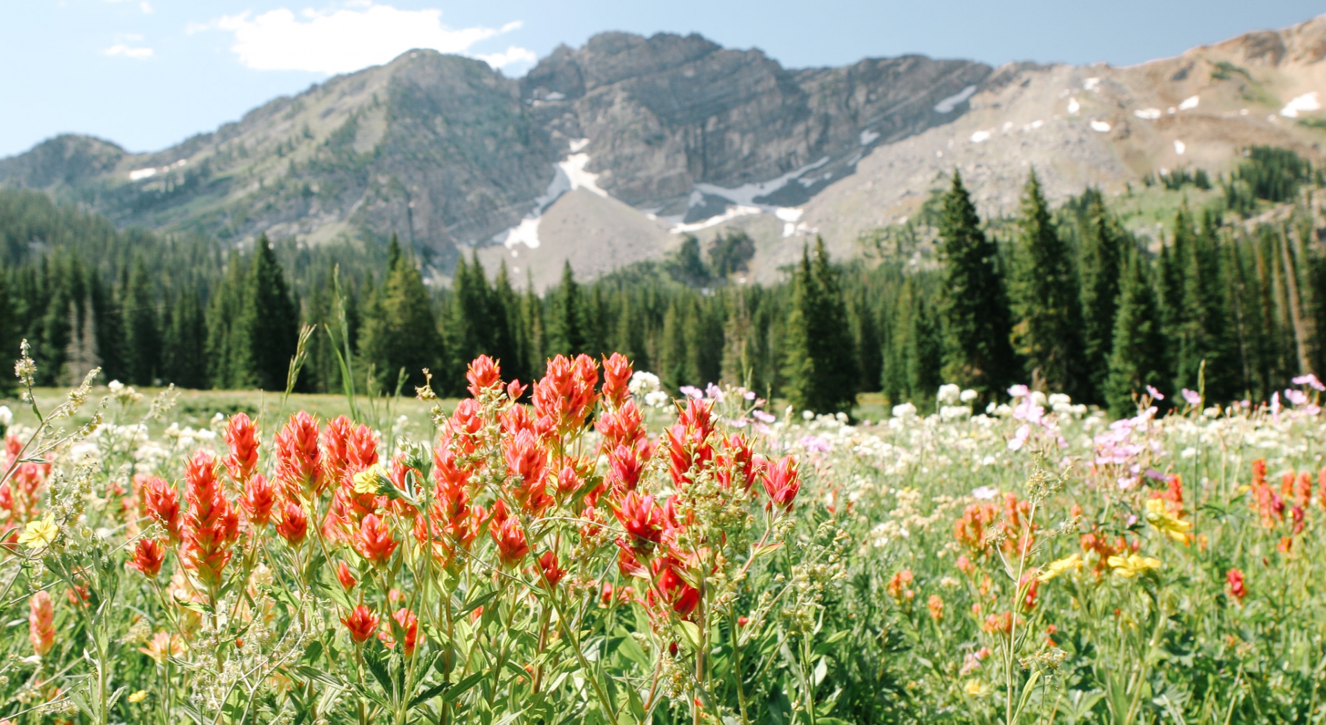 Exploring Alta from Snowpine Lodge 3