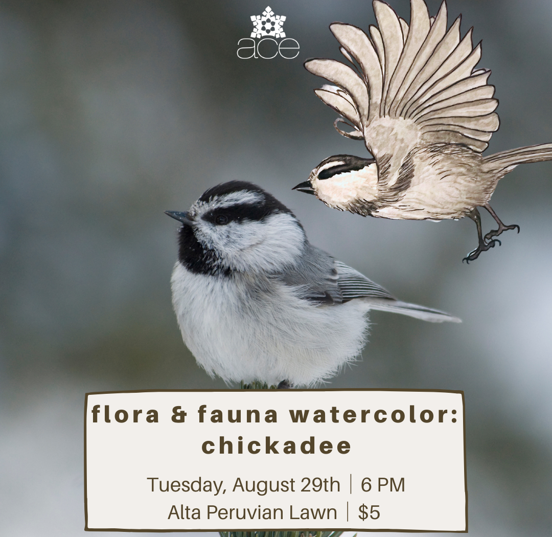 Flora & Fauna Watercolor: Chickadee