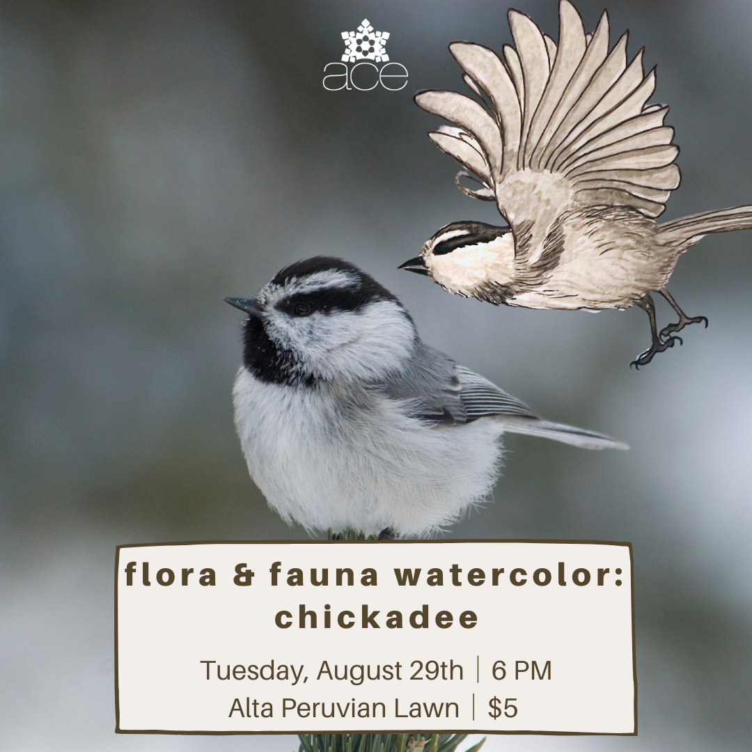 Flora & Fauna Watercolor: Chickadee