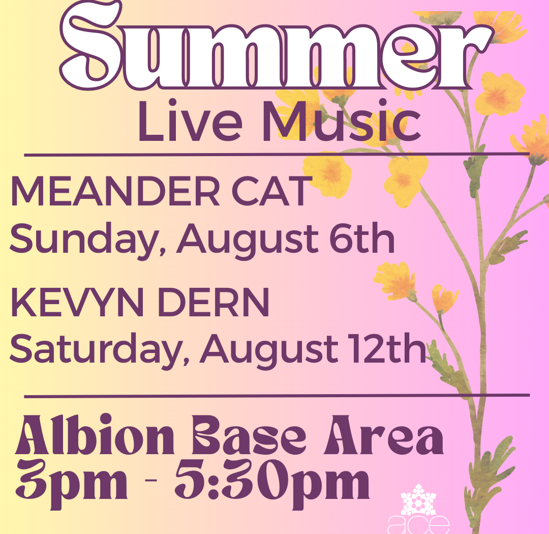 Summer Live Music Meander Cat August 6