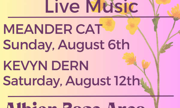 Summer Live Music Meander Cat August 6