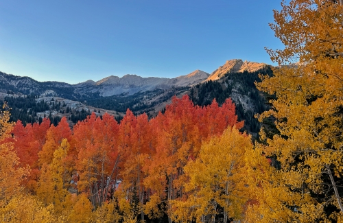 Embrace the Beauty of Autumn at Snowpine Lodge 4