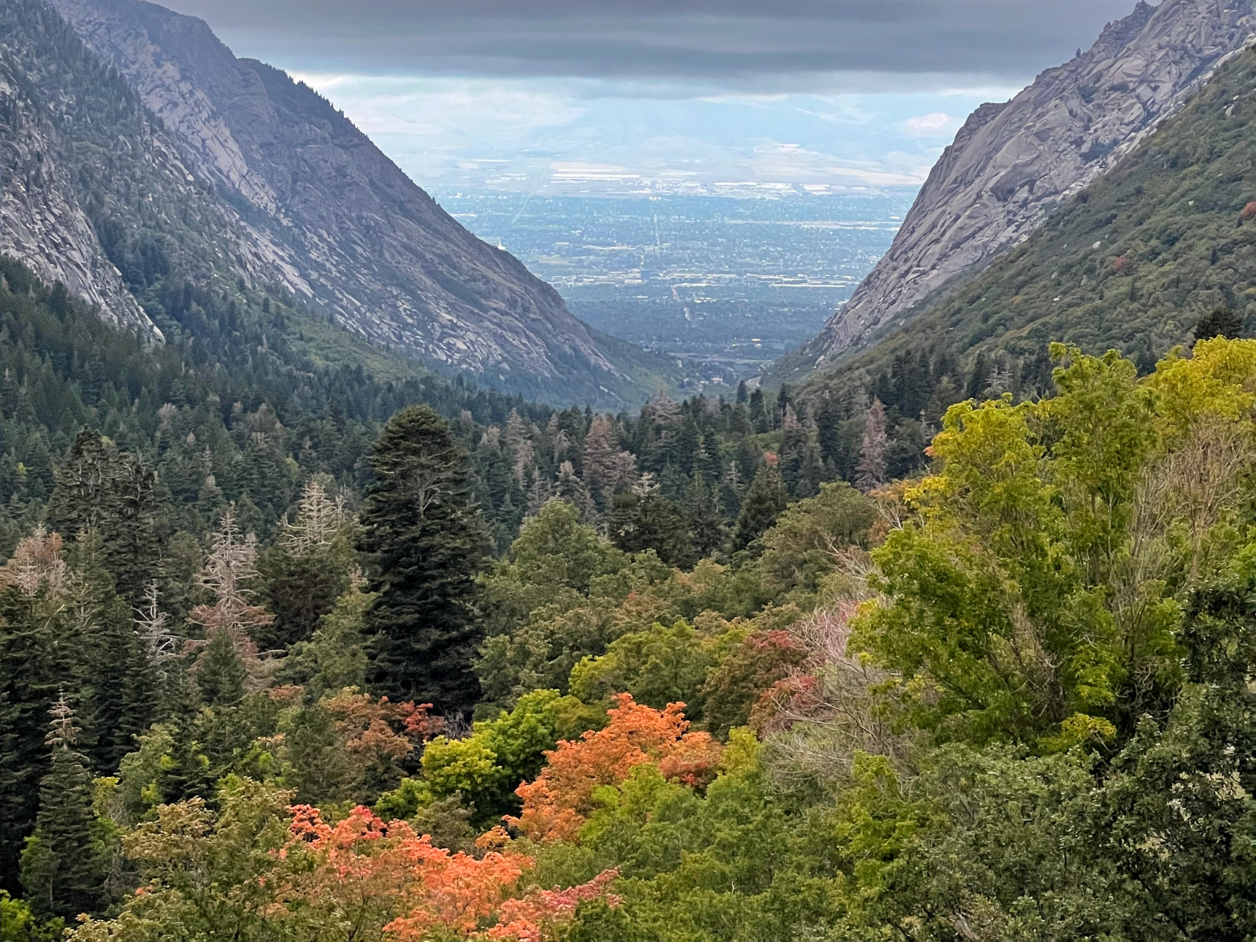 Embrace the Beauty of Autumn