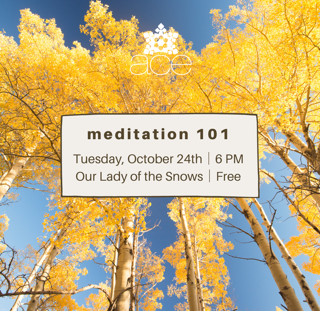 Meditation 101 ACE