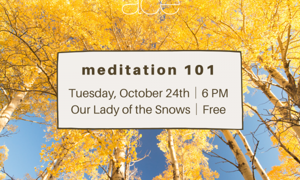 Meditation 101 ACE