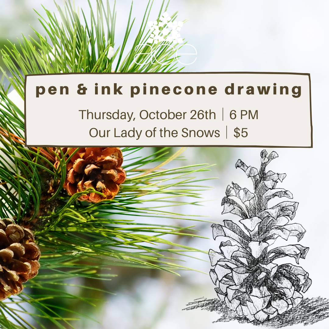 Pen & Ink Pinecone Drawing ACE