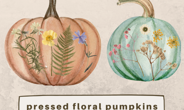 Pressed Floral Pumpkins (ACE)