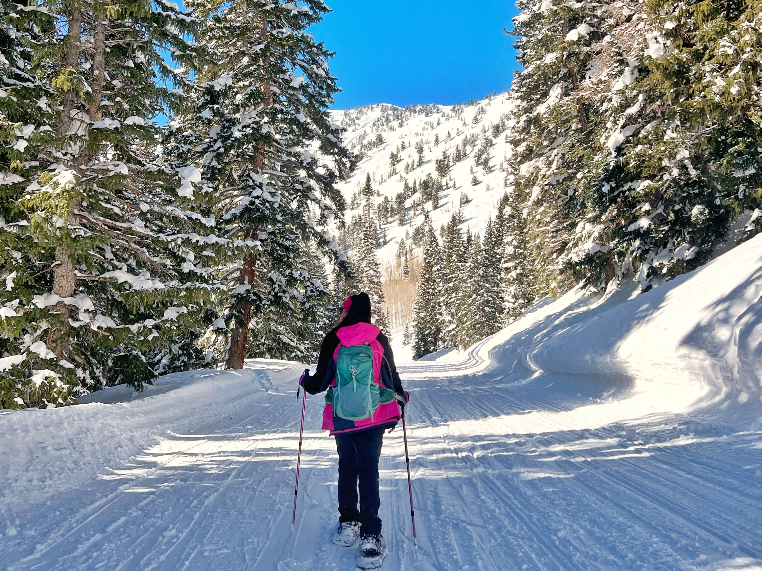 Snowshoe with a Naturalist