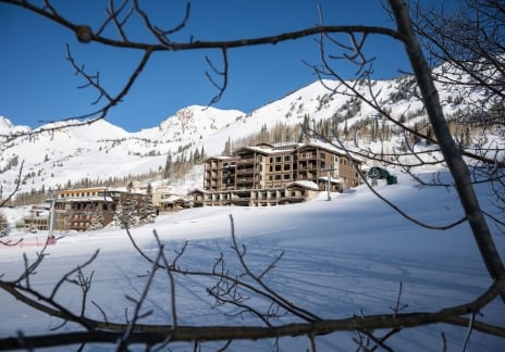 Springtime at Snowpine 12