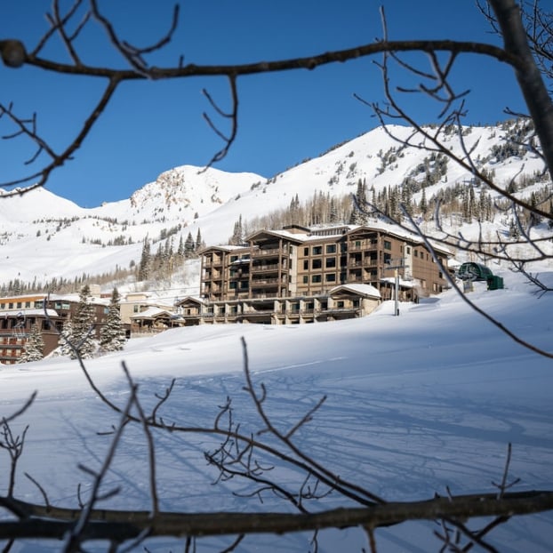 Springtime at Snowpine 12