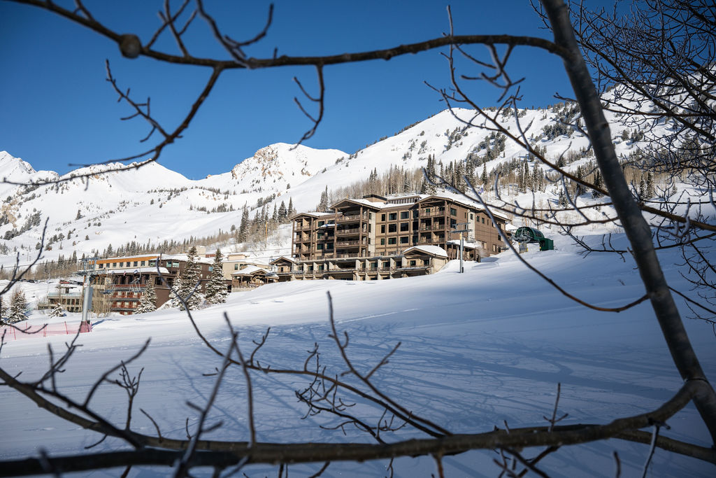 Springtime at Snowpine 12