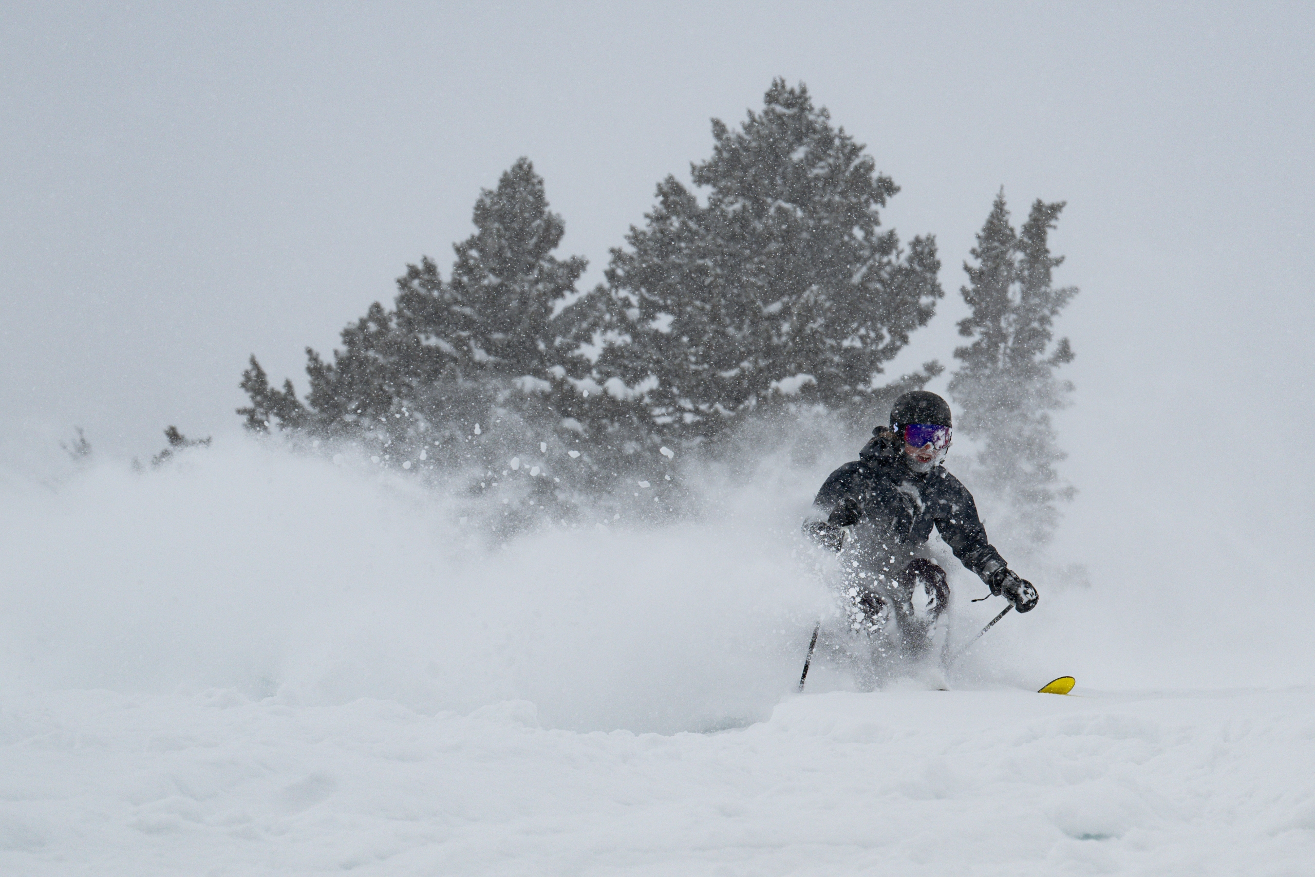 Snowpine Lodge | Snowpine Lodge