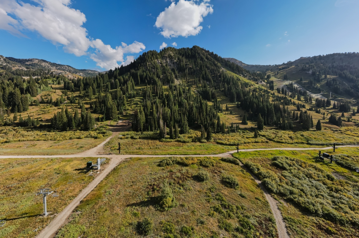 Green summer mountain landscape with hiking trails.
