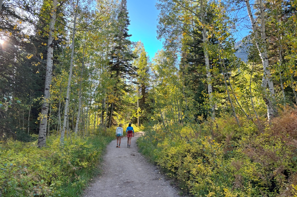 fall trees hiker girls