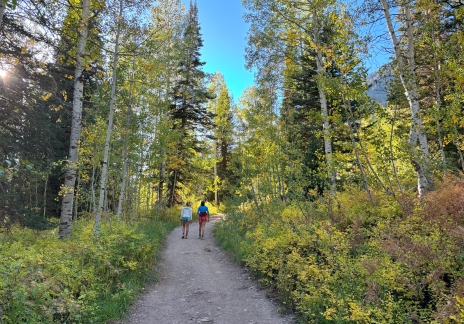 fall trees hiker girls