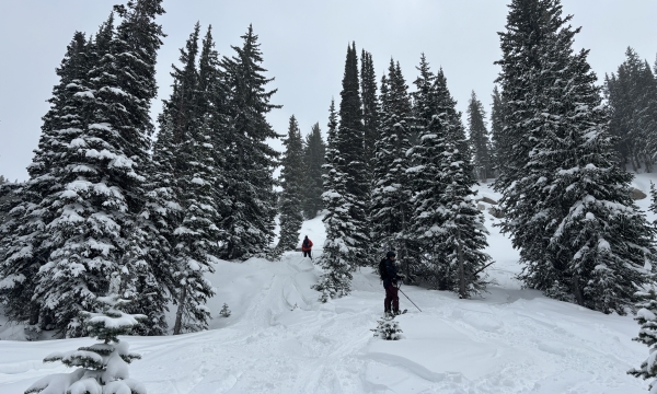 Snowy ski run winding through a dense pine forest.