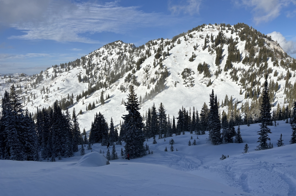 Sunny winter landscape featuring a snow-covered ridge and trees.