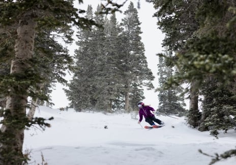 A skier descending a snowy slope lined with pine trees.