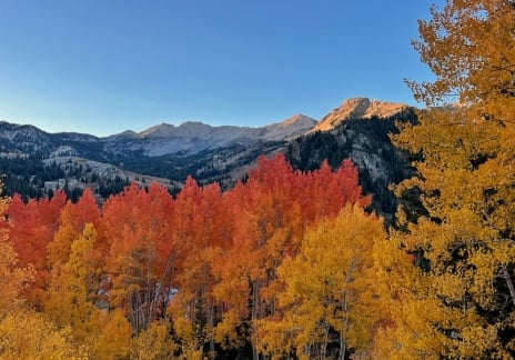 Embrace the Beauty of Autumn at Snowpine Lodge 4