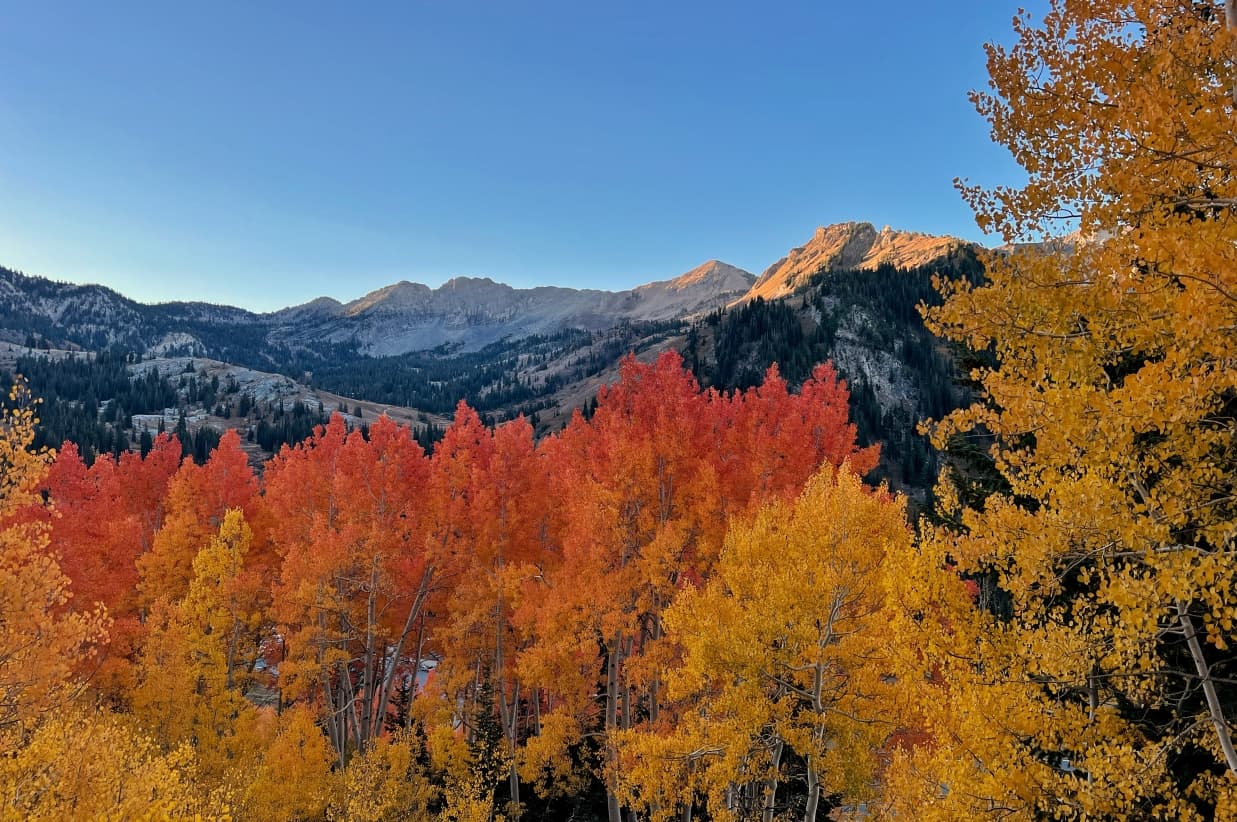 Embrace the Beauty of Autumn at Snowpine Lodge 4