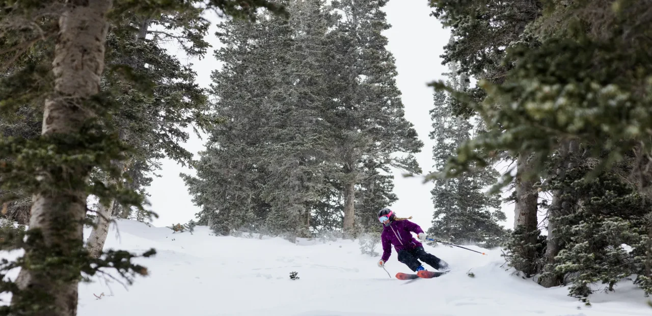 Alta Snowpine Lodge Performance Camp 2027 poster or cover