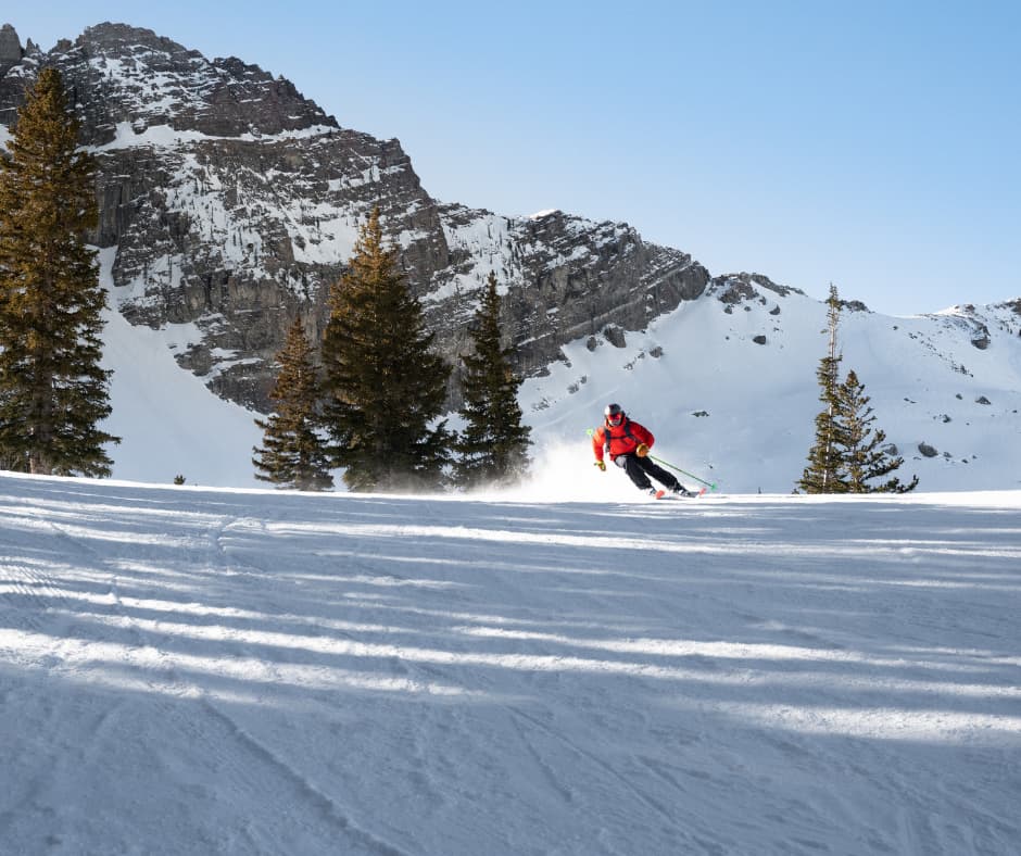 Book Early This Winter