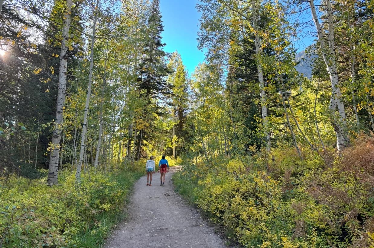 fall trees hiker girls