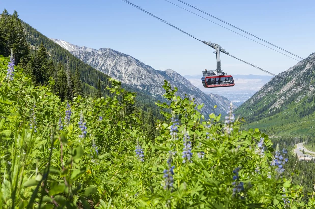 Red aerial tram car suspended on cables against mountains.