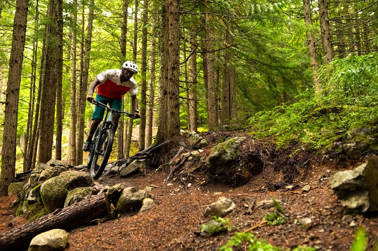 Biking in the summer