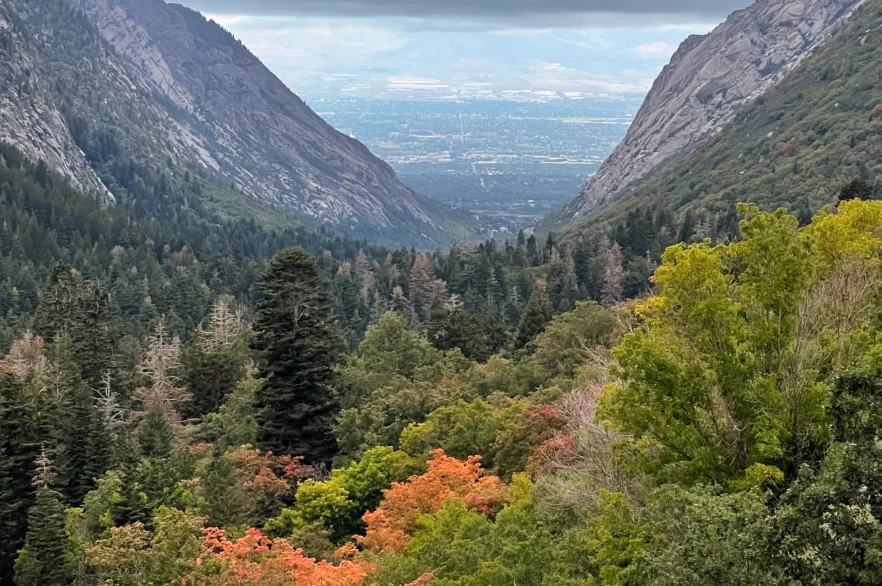 Embrace the Beauty of Autumn