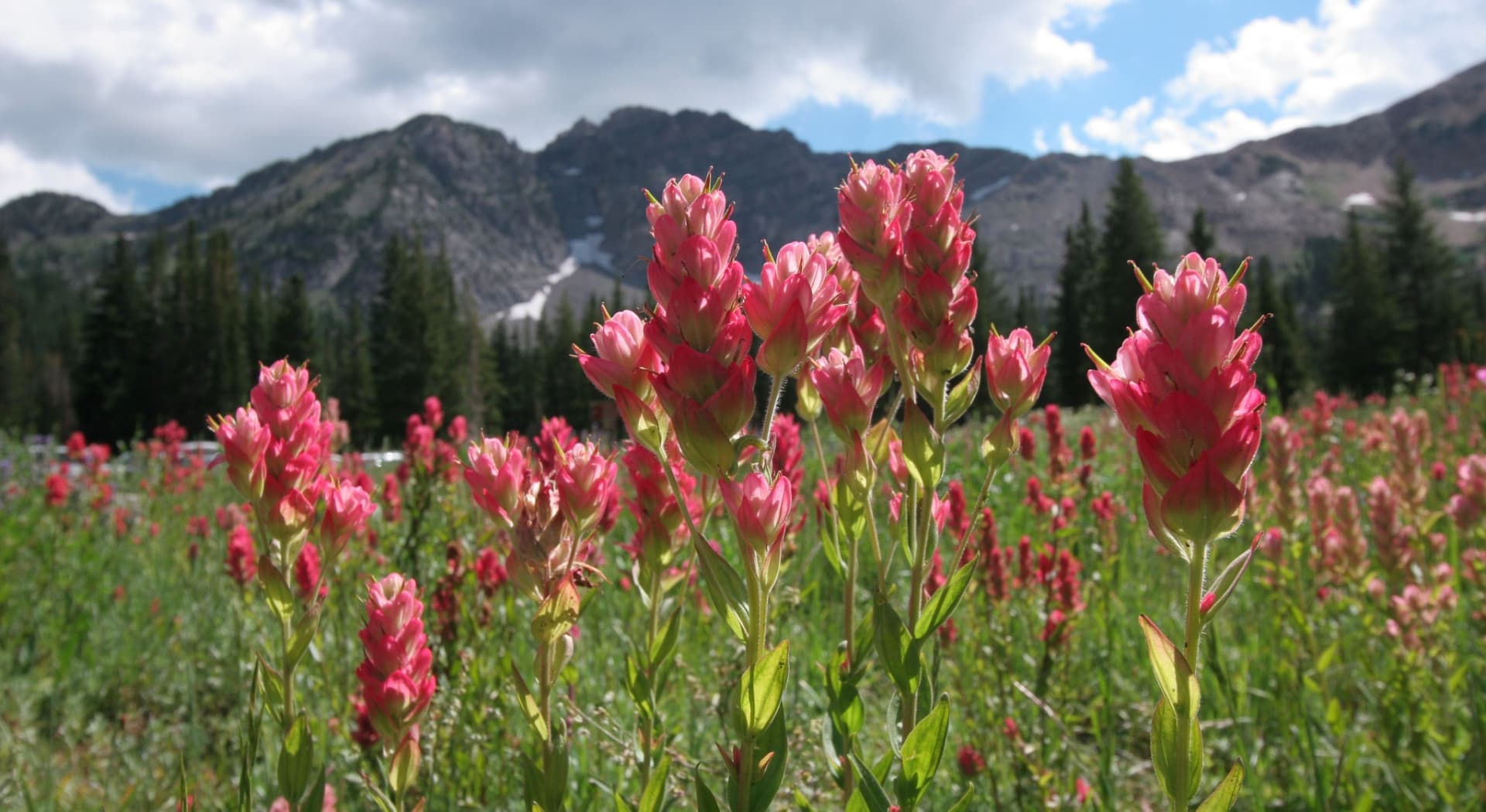 Exploring Alta from Snowpine Lodge 2