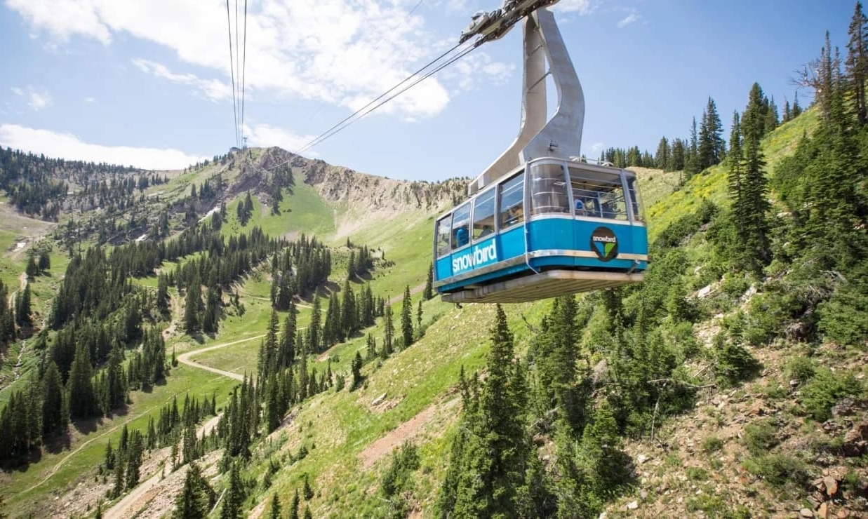 Snowbird Resort 3
