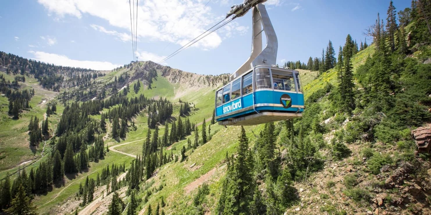 Snowbird Resort 3