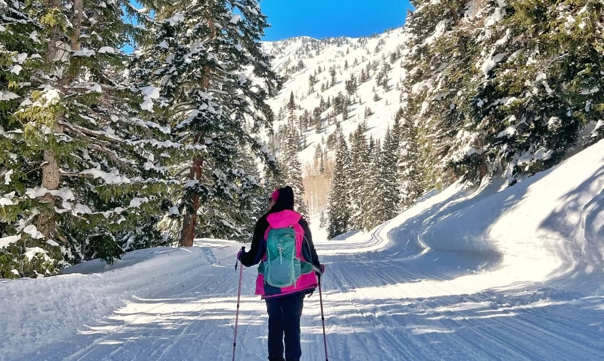 Snowshoe with a Naturalist