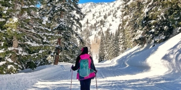 Snowshoe with a Naturalist
