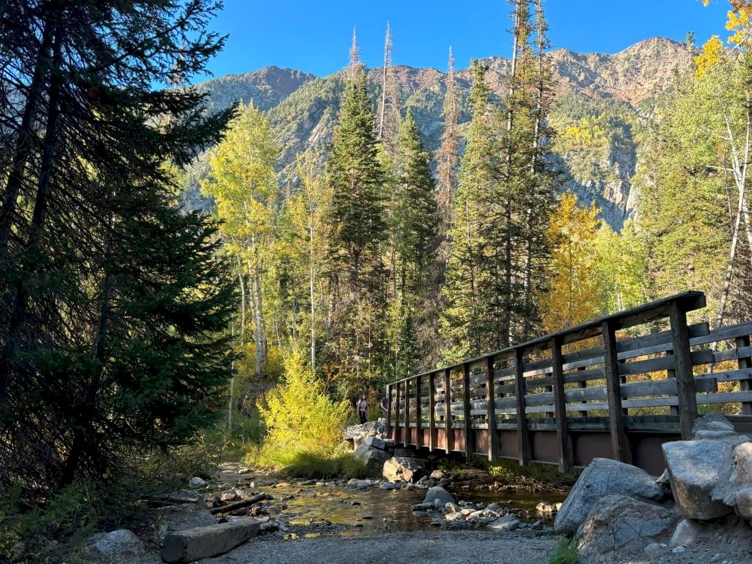 Snowpine Lodge